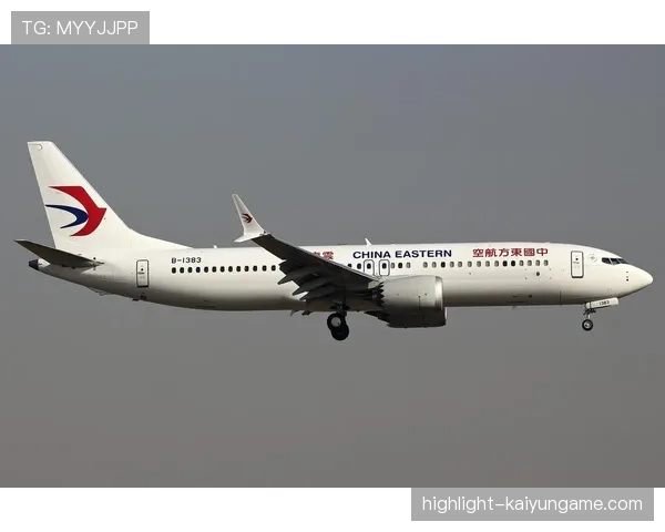 商务部权威回应：中国是否将恢复购买波音飞机？，中国什么时候停飞波音